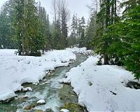 New study: Snowpack levels show dramatic decline in western states