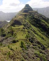 Remote Island Provides Clues On Population Growth, Environmental Degradation