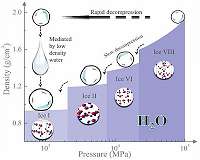 Rapid decompression key to making low-density liquid water