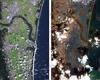 Tokyo 2020 to feed IOC food from disaster-hit regions