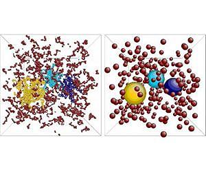 Making complex fluids look simple
