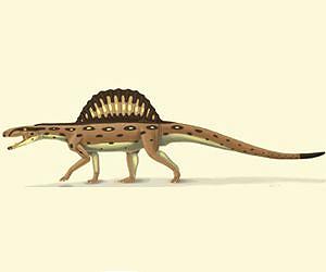 China fossil shows bird and crocodile family trees split earlier than thought