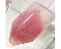 Milking algae mechanically: Progress to succeed petroleum derived chemicals