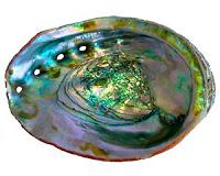 Mother-of-pearl's genesis identified in mineral's transformation