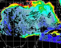 Aquatic Life Dying In Gulf Mystery