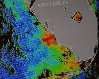 How scientists are tracking Florida's red tides with satellites and smartphones