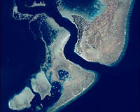 Super Reefs Fend Off Climate Change