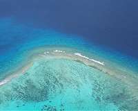 Scientists find corals in deeper waters under stress too