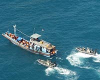 Critics slam asylum policy as unworkable