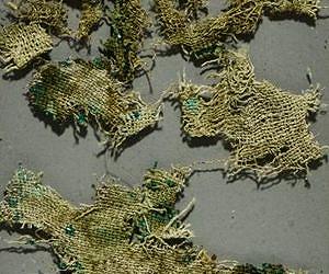 Ancient stinging nettles reveal Bronze Age trade connections