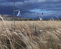 Rain is important for how carbon dioxide affects grasslands