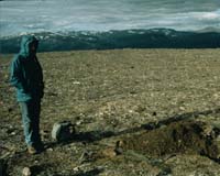 Microscopic Geochemical Processes Point to Potential Problems If the Arctic Warms