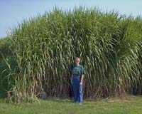 Progress Made in Biomass-to-Biofuels Conversion Process