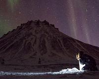 Freezing plants to predict the fate of the Arctic