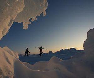 Arctic study shows key marine food web species at risk from increasing CO2