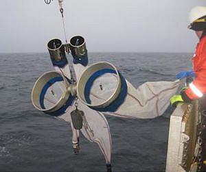 Tropical plankton invade Arctic waters