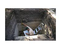 Remains of rice and mung beans help solve a Madagascan mystery