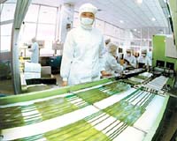 China manufacturing steady in September: index
