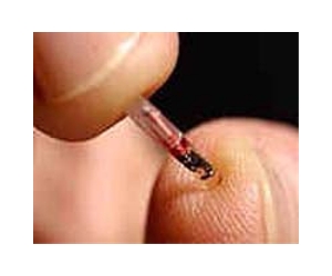 New frontier for cybersecurity: your body