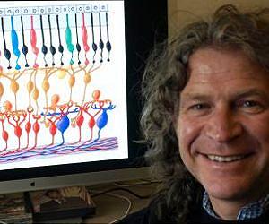 Forecast calls for nanoflowers to help return eyesight