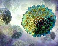 Rift Valley Fever epidemic kills at least 32 in Niger