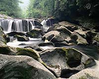 Even A Mile Of Forest Makes A Difference In Water Quality