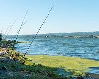 Water-quality trading can reduce river pollution