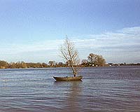 Dynamic Bed Causes Irregular Course Of River