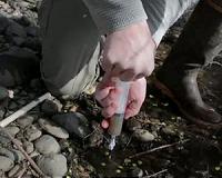 Microbes take center stage in workings of 'the river's liver'