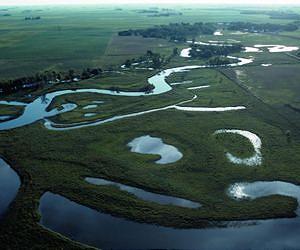 New system to restore wetlands could reduce massive floods, aid crops