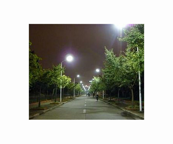 LED streetlights contribute to insect population declines: study