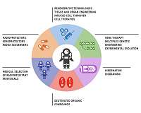 International team publishes roadmap to enhance radioresistance for space colonization