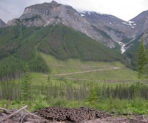 'Climate-smart strategies' proposed for spectacular US-Canadian landscape