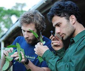Meet the rainforest diversity police