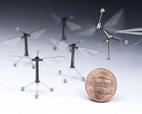 Flight of the RoboBee