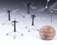 Engineers program tiny robots to move, think like insects