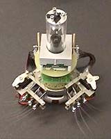 Robo-Rodent Gets Touchy-Feely