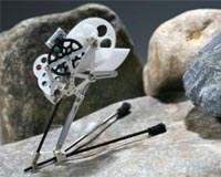 A Biomimetic Jumping Microrobot