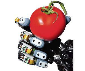 Robots get a feel for the world at USC Viterbi