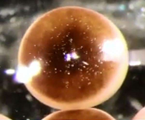 Rice research team on quest to engineer computing systems from living cells