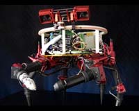 Leaping Lemurs Boldly Go Where Astronauts Go