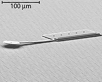 Microbot muscles: Chains of particles assemble and flex