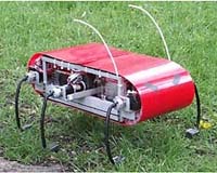 Cockroach-Like Robot Leads New Research Effort