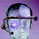 Build Your Own Borg: Sort of