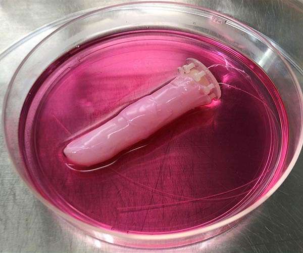 Scientists craft living human skin for robots