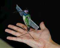 Hummingbird robot uses AI to soon go where drones can't