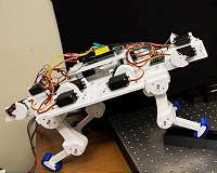 Progress on lifelong learning machines shows potential for bio-inspired algorithms