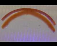 Synthetic materials mimic living creatures