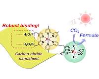 New carbon nitride material coupled with ruthenium enhances visible-light CO2 reduction in water