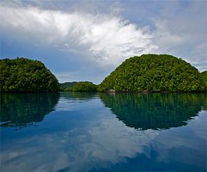 Coral Reefs in Palau Surprisingly Resistant to Naturally Acidified Waters